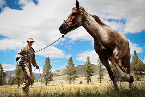 hourse Handler at the US Marine Training base Animal Packing Course